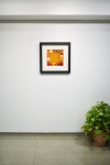 Picture of Rasa