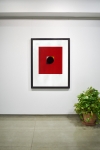 Picture of Bindu