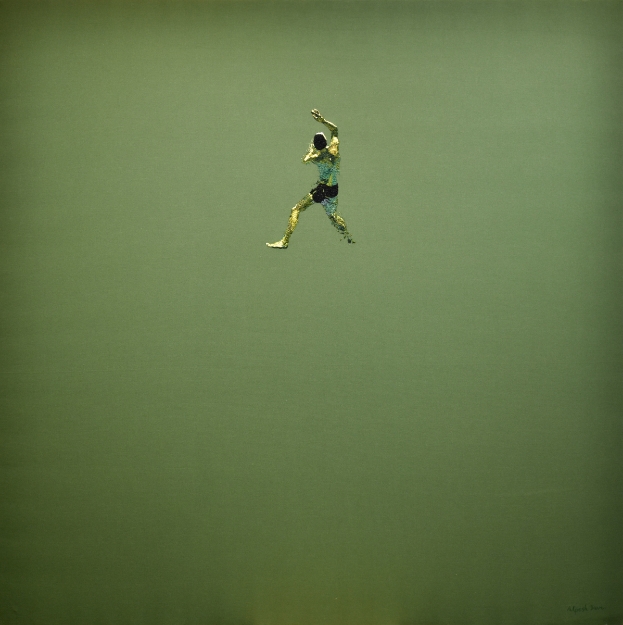 Picture of The Quiet Middle