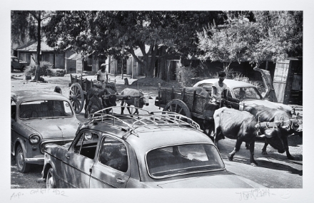 Picture of Charoti, 1972