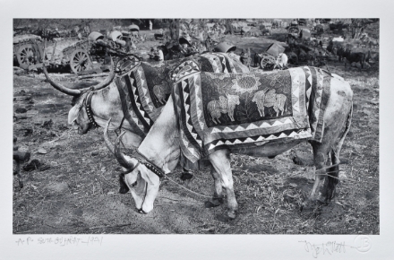 Picture of South Gujarat, 1971