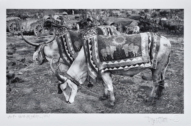 Picture of South Gujarat, 1971