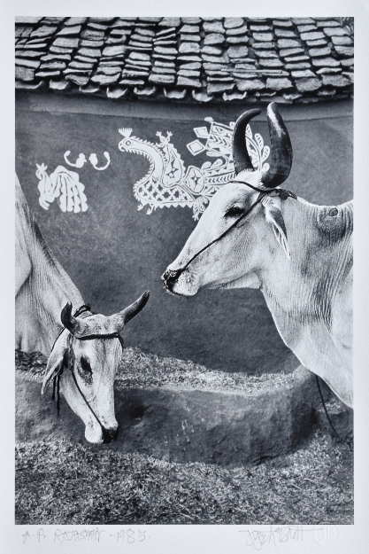 Picture of Rajasthan, 1985