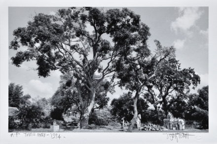 Picture of Tamil Nadu, 1994