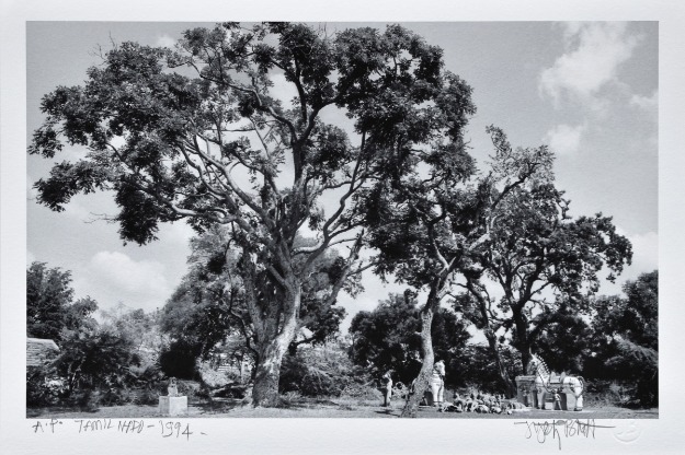 Picture of Tamil Nadu, 1994