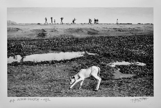 Picture of Andhra Pradesh, 1982