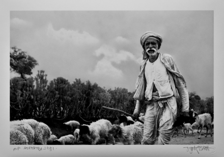 Picture of Saurashtra, 1981