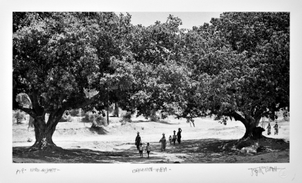 Picture of North Gujarat