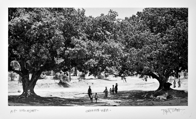 Picture of North Gujarat