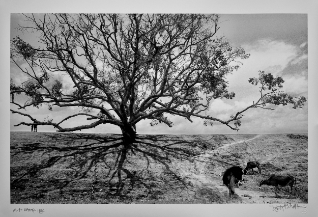 Picture of Bastar, 1984