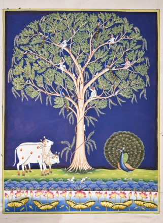 Picture of Tree of Life