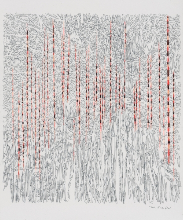 Picture of Dual Sunshine 04