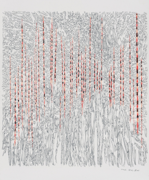 Picture of Dual Sunshine 04