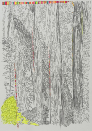 Picture of Flora VS Flora