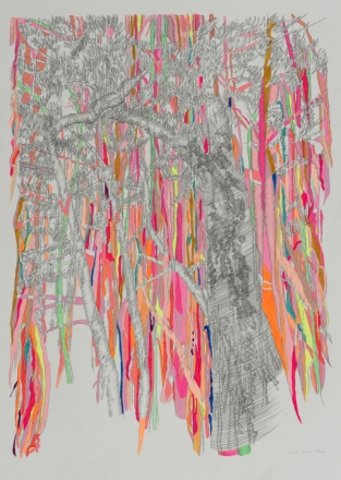 Picture of Flora VS Flora