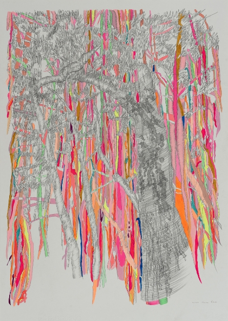 Picture of Flora VS Flora