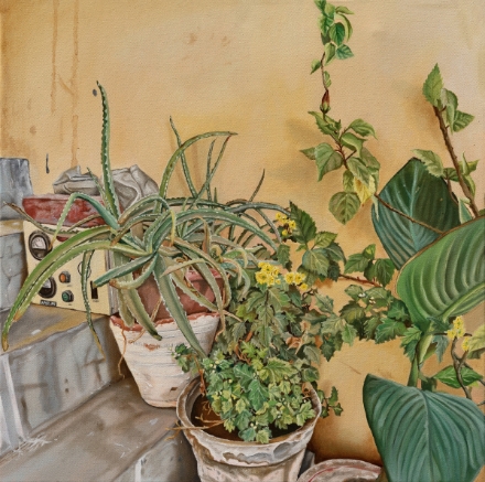 Picture of The Houseplants