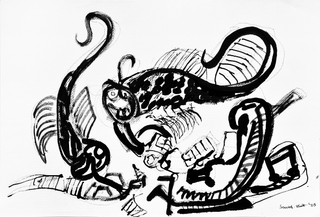 Picture of Large Winged Flys With Cobara King