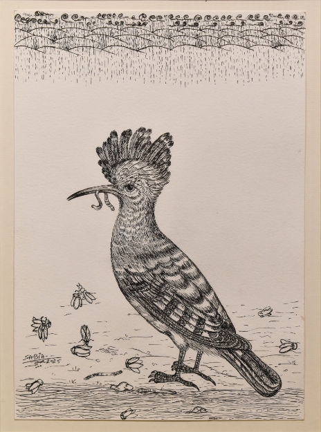 Picture of Nature’s Hunter