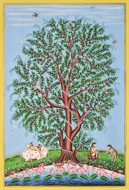 Picture of Tree of Life